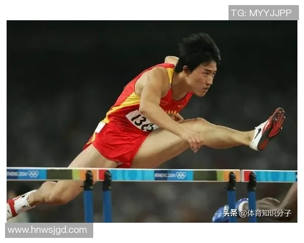 刘翔在国际赛场的辉煌成就与全球体育圈的高度认可与赞誉